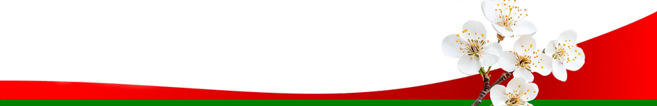 <div class="may9banner">
   <div class="title" style="visibility:hidden;">До Дня Победы осталось:</div>
   <div class="timer" style="display:none;">
       <span class="li days">00</span>
       <span class="sep">:</span>
       <span class="li hours">00</span>
       <span class="sep">:</span>
       <span class="li minutes">00</span>
       <span class="sep">:</span>
       <span class="li seconds">00</span>
    </div>
</div>